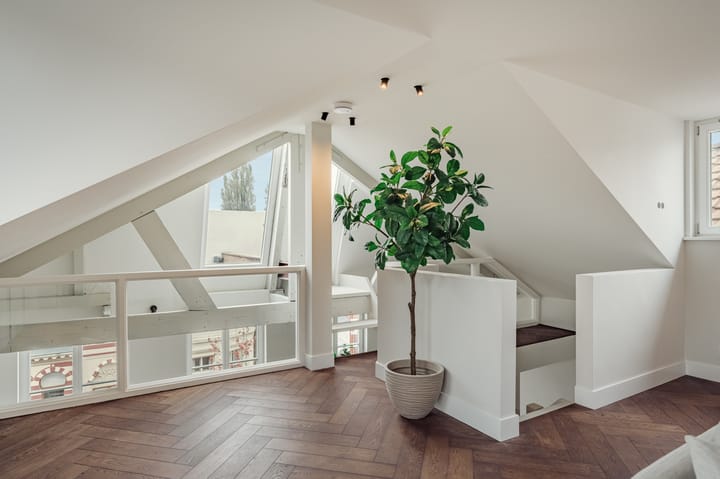 Foto 27 van Roemer Visscherstraat 21-3