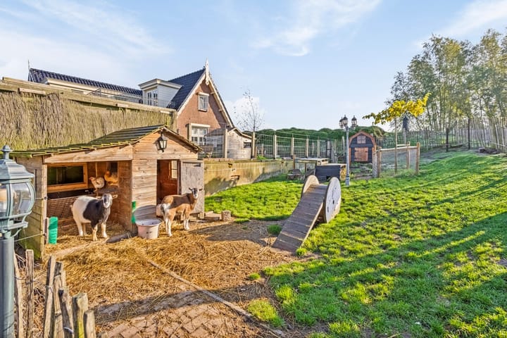 Foto 36 van Vleugeldijk 31