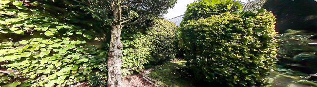 View 360° photo of Tuin of Jan van Galenstraat 24