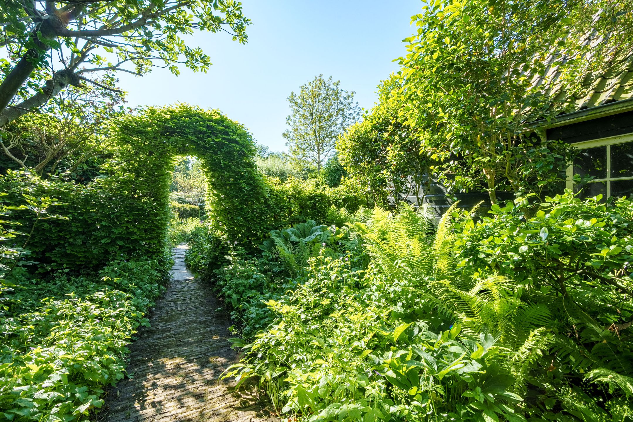 Photo 33 of Dorpsstraat 24