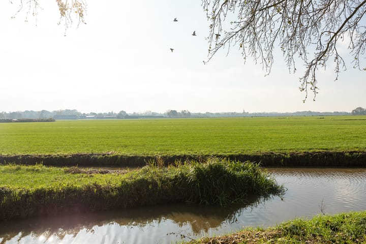 Foto 36 van Wallestein 74