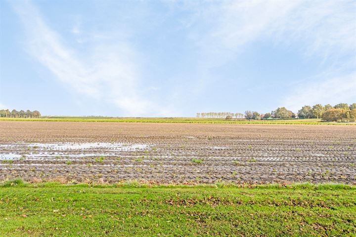 Bekijk foto 30 van Berkenlaan 10