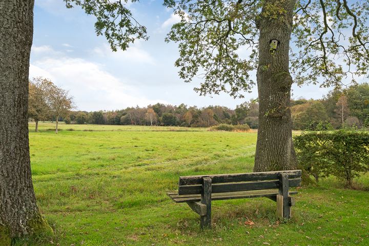 Bekijk foto 77 van Dwingelerweg 22