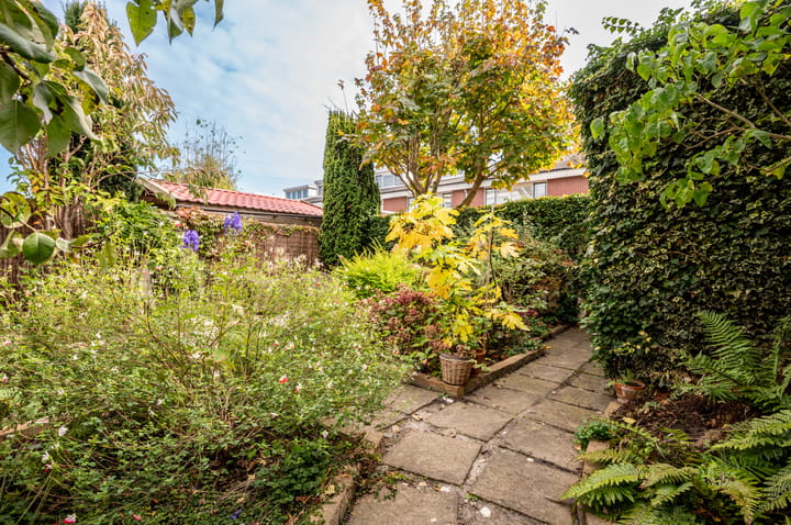 Foto 38 van Fugaplantsoen 40