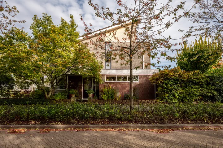 Foto 39 van Fugaplantsoen 40