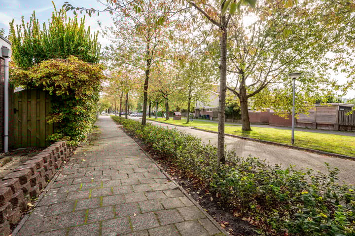 Foto 42 van Fugaplantsoen 40