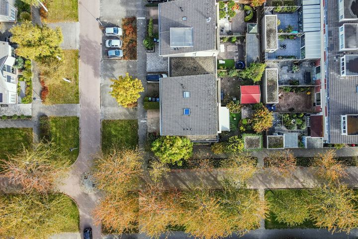 Bekijk foto 43 van Fugaplantsoen 40