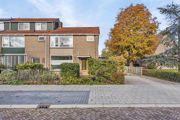 Bekijk foto 31 van Pieter Kramerstraat 46