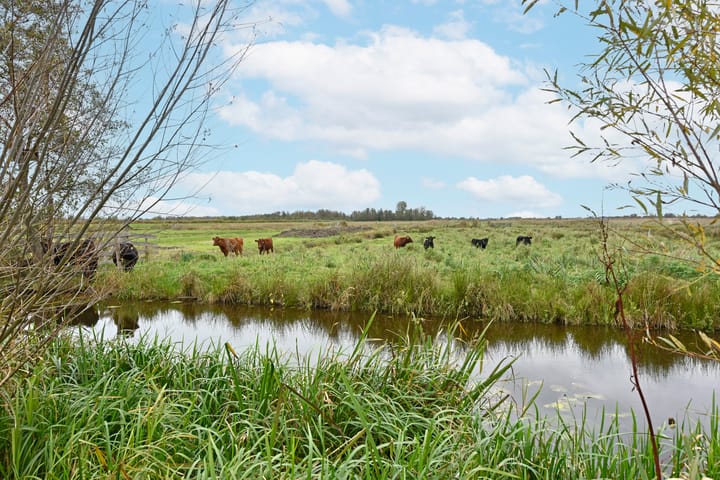 Foto 64 van Bosweg 15