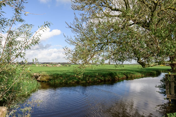 Bekijk foto 5 van Westeinde 23-B