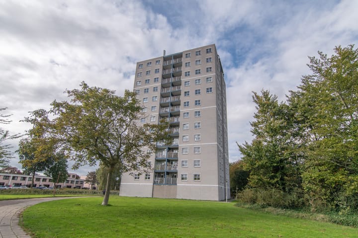 Foto 1 van Granietgroen 155