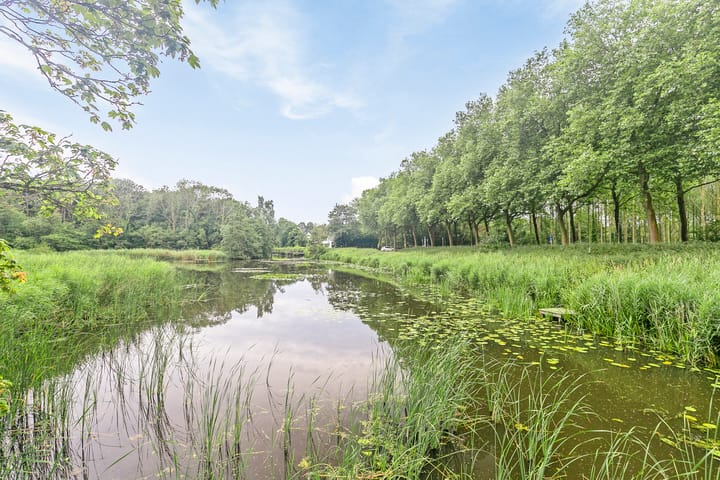 Foto 38 van Ferdinandstraat 5