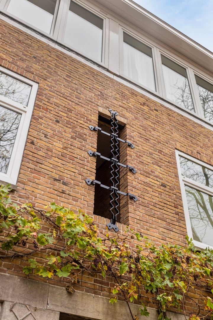 Foto 10 van Paramaribostraat 100-2