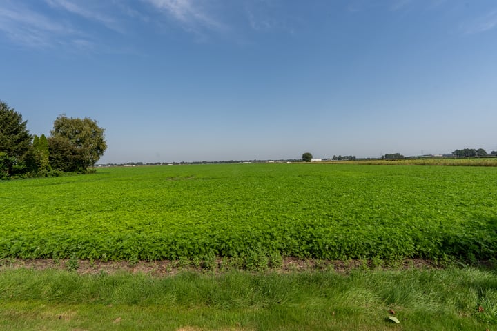 Bekijk foto 40 van Ommelanderwijk 287