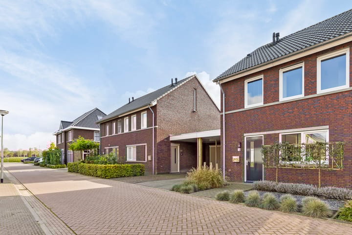 Foto 45 van Lavendel 10