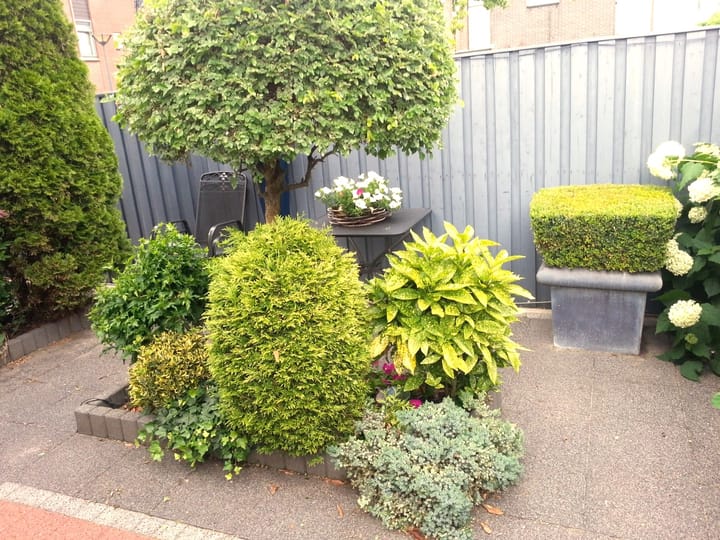 Foto 19 van Banckspolder 39