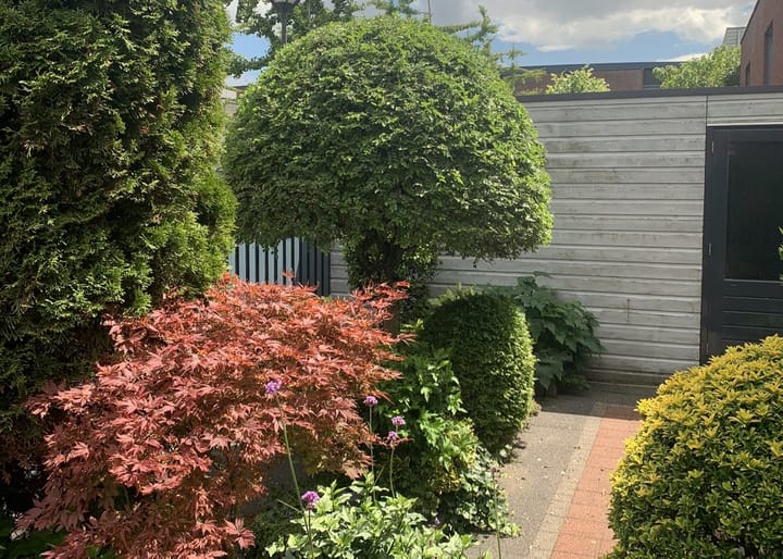 Foto 20 van Banckspolder 39