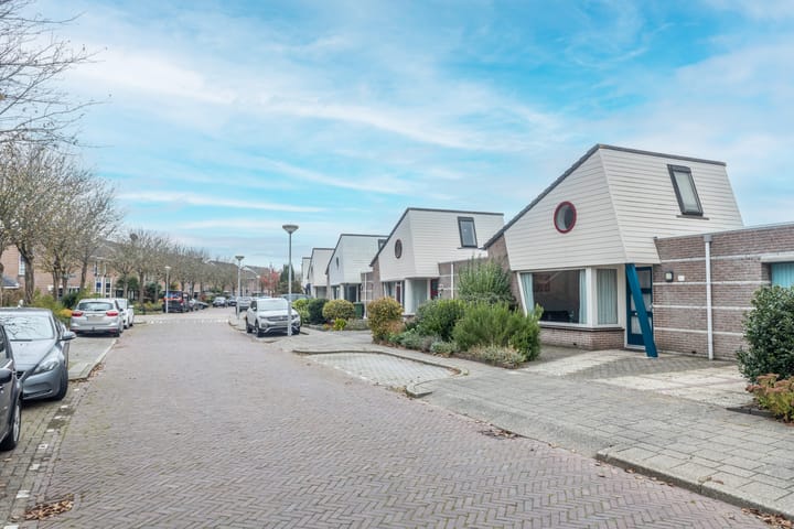 Foto 2 van Ringmus 64