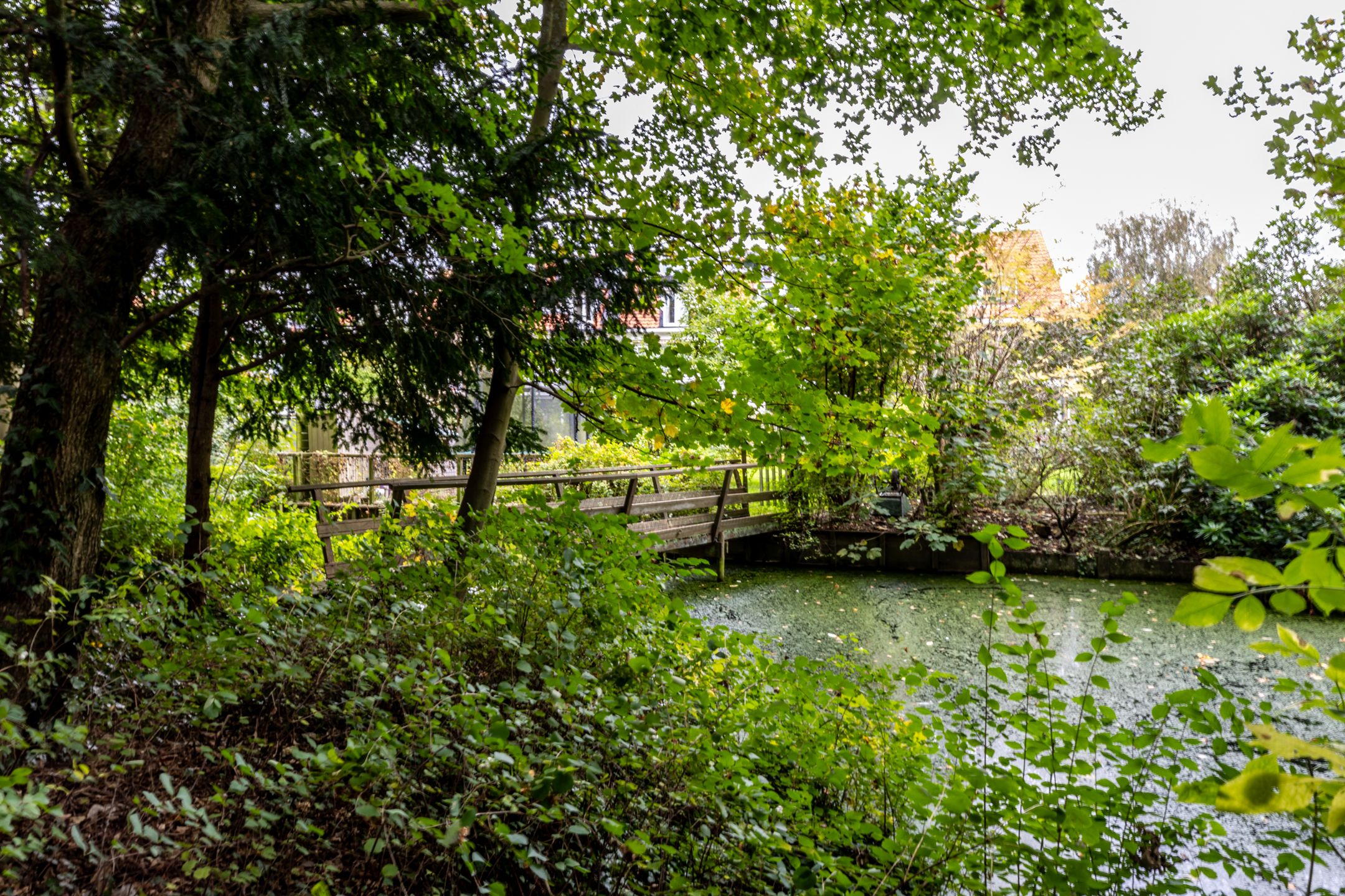 Foto 15 van Plaswijcklaan 43