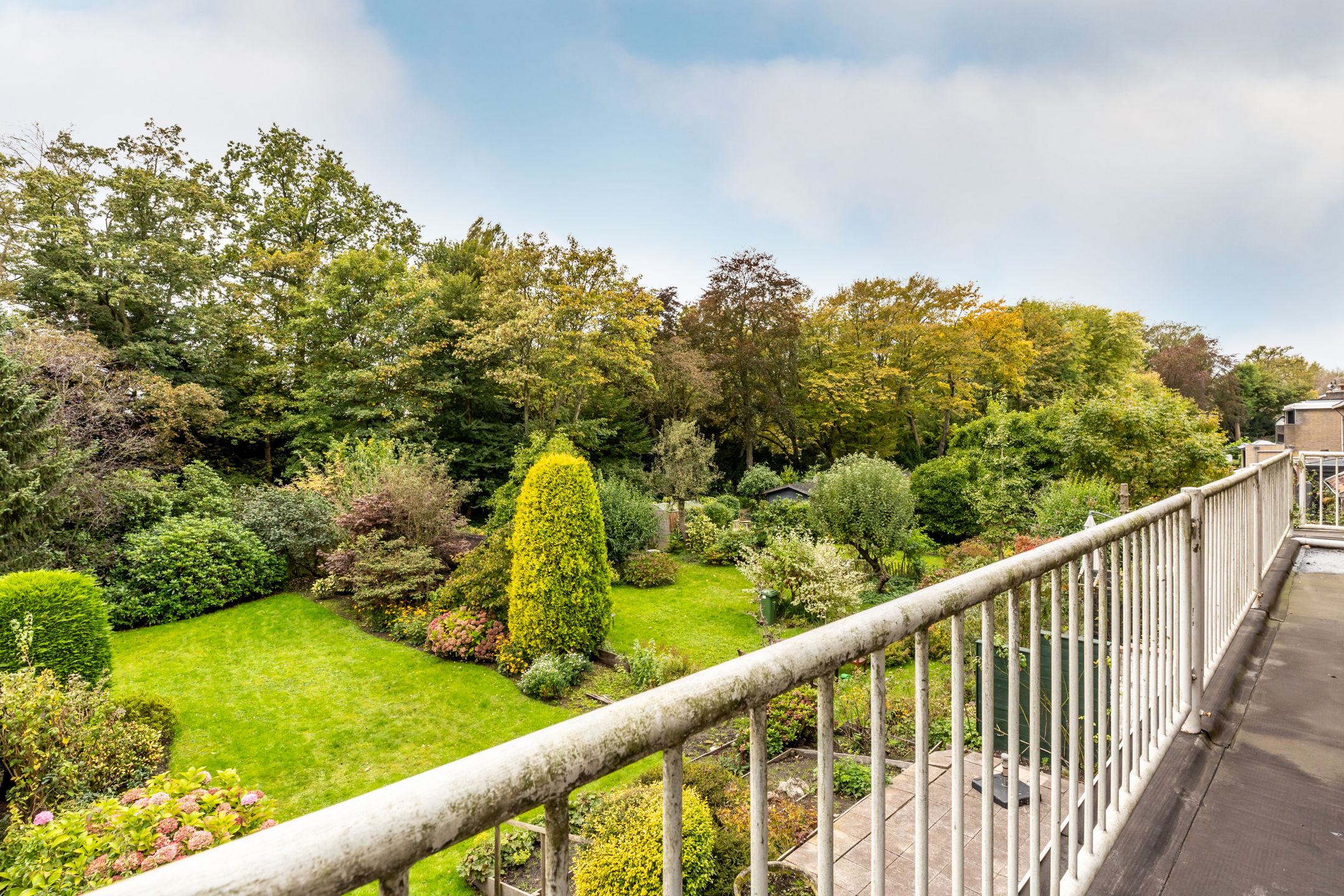 Foto 21 van Plaswijcklaan 43