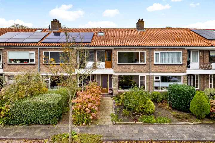 Foto 1 van Pieter Langendijkstraat 52