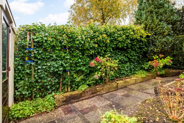 Foto 15 van Pieter Langendijkstraat 52