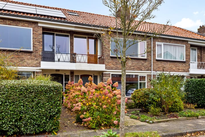 Foto 35 van Pieter Langendijkstraat 52