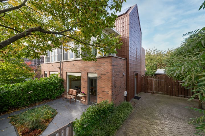 Foto 1 van Schoenlappervlinder 16