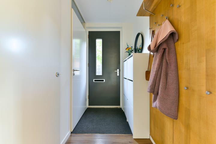 Foto 5 van Schoenlappervlinder 16