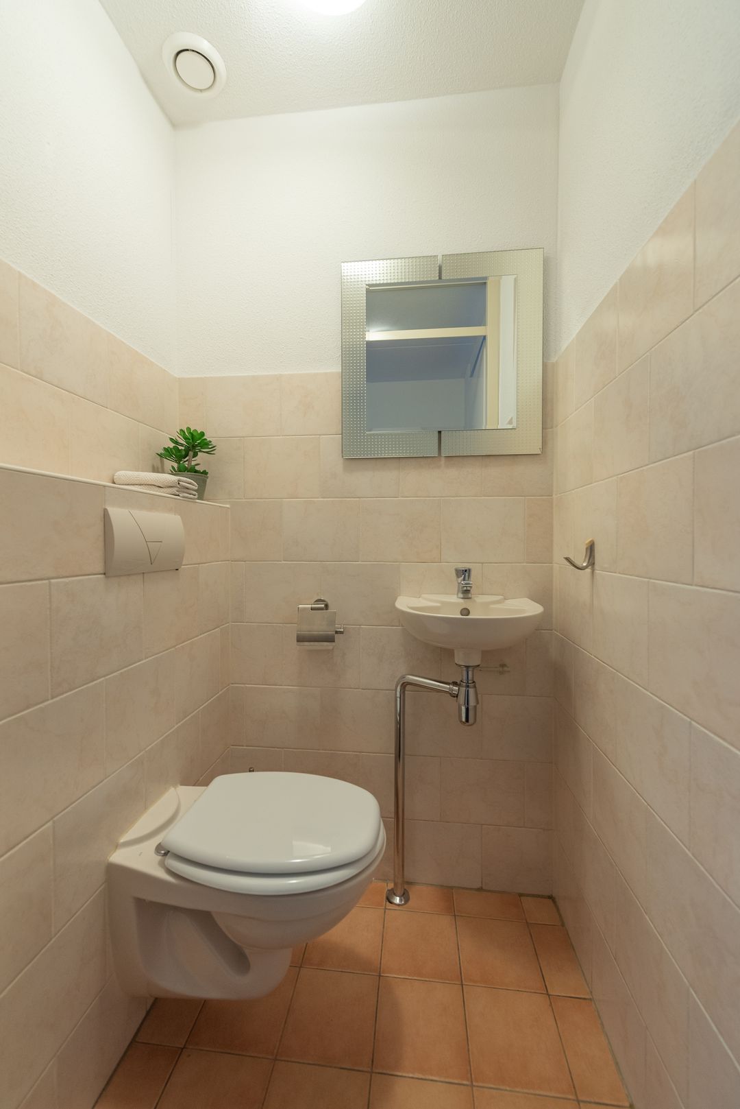 Photo 11 of Schoenlappervlinder 16