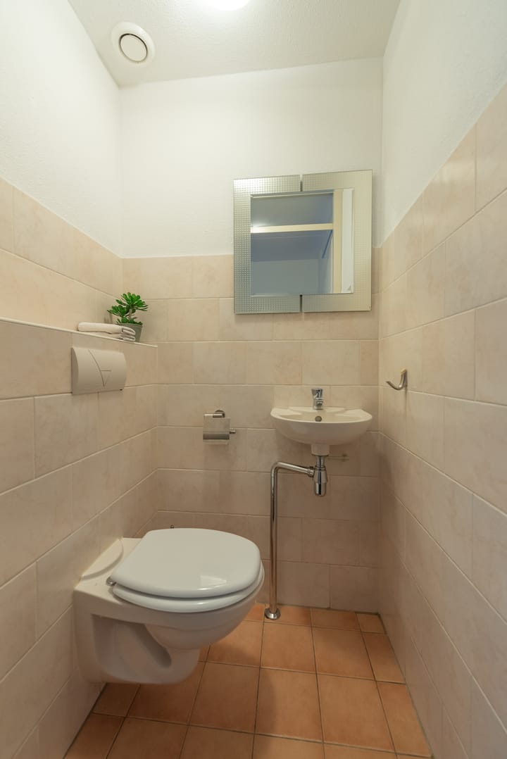 Foto 11 van Schoenlappervlinder 16