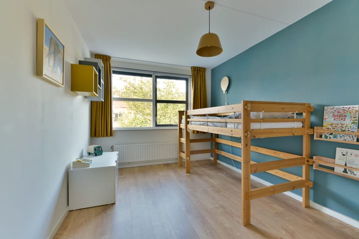 Foto 14 van Schoenlappervlinder 16