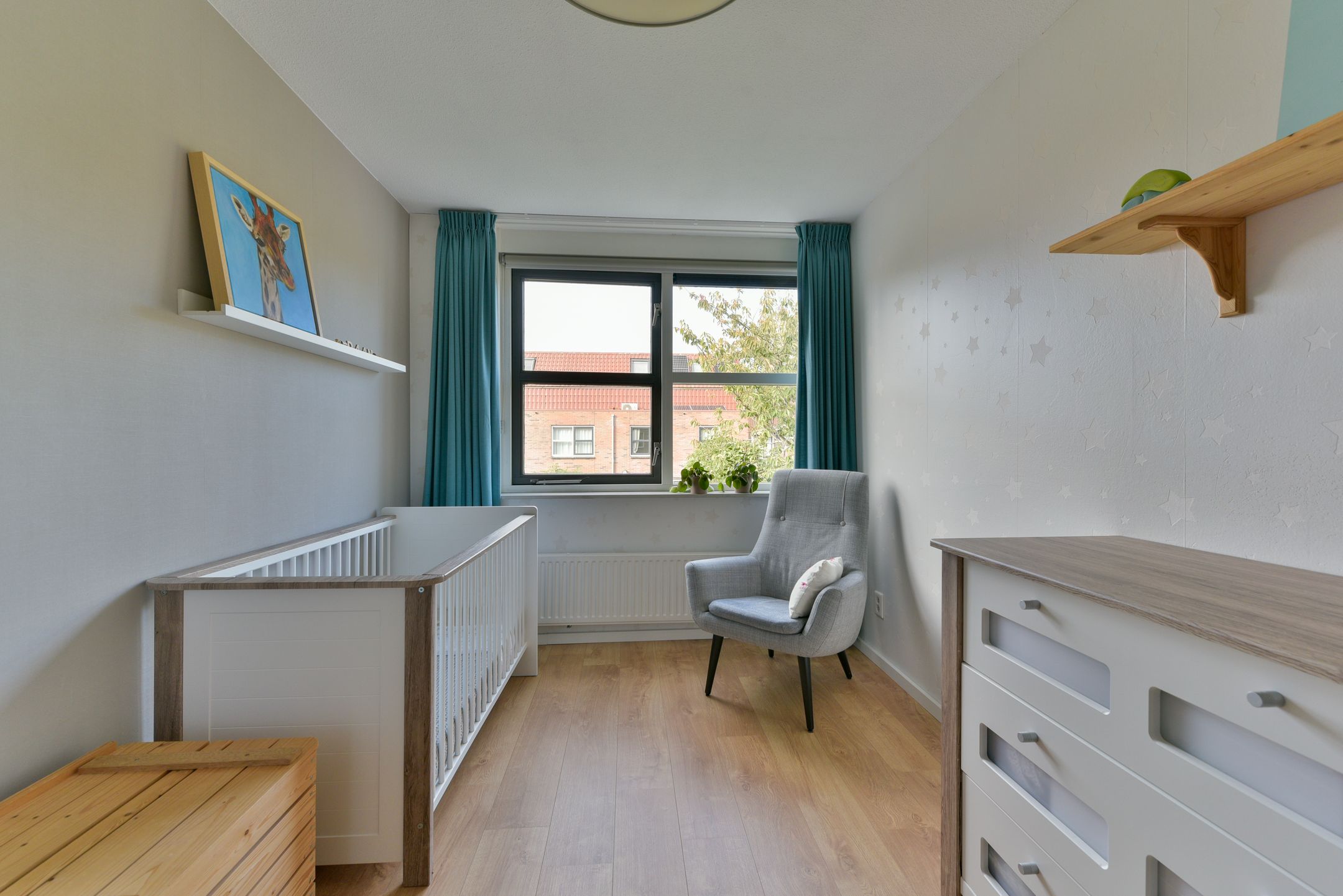 Photo 15 of Schoenlappervlinder 16