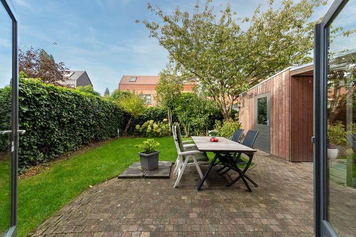 Foto 25 van Schoenlappervlinder 16