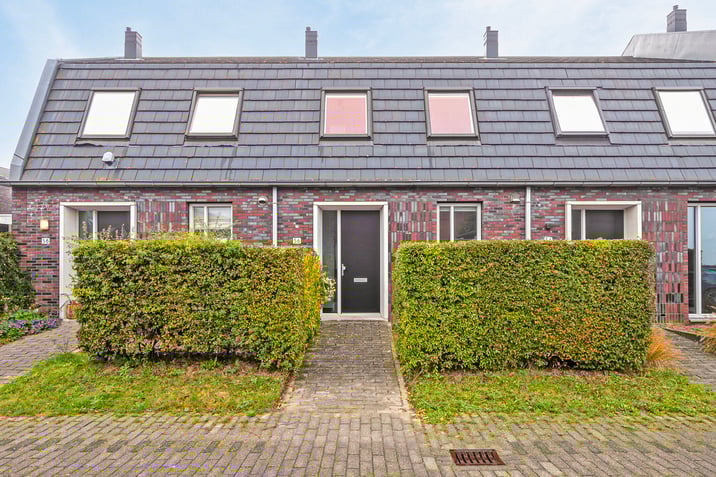 undefined main image