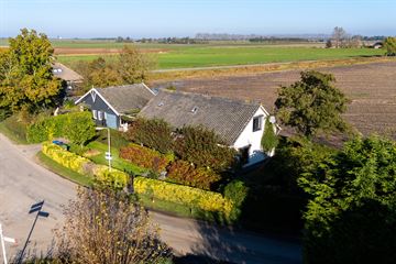 Plattedijk thumbnail