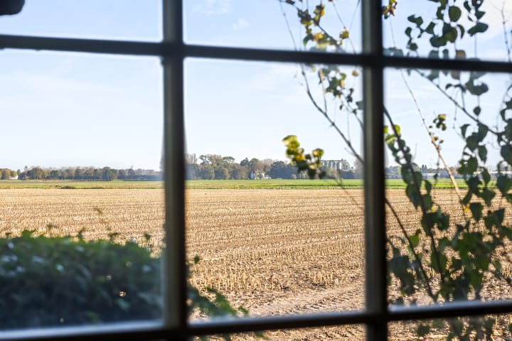 Foto 10 van Plattedijk 11