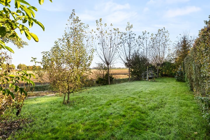 Foto 41 van Plattedijk 11