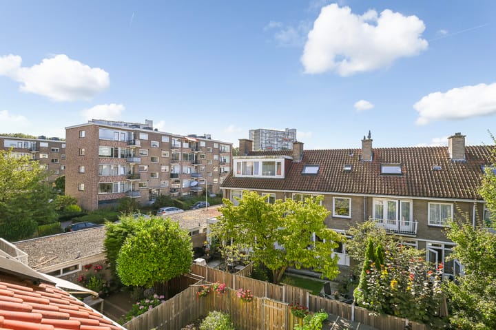 Foto 38 van Robertaland 9