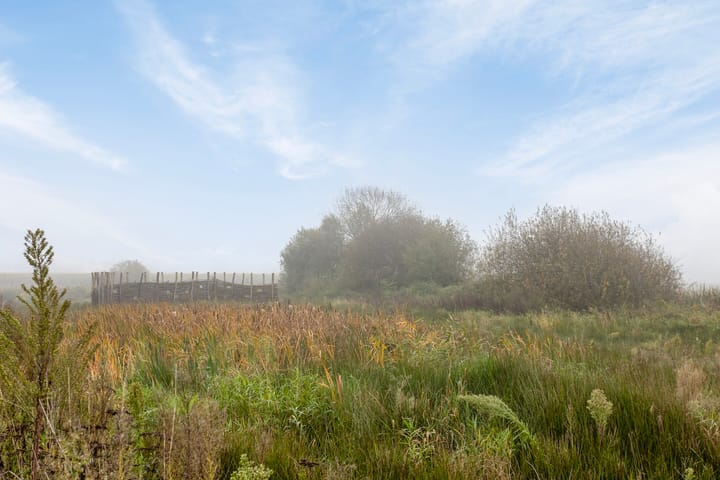 Foto 38 van Beerschemaasweg 14