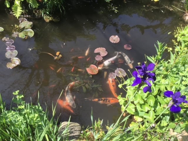 Foto 35 van Buitenweg 309