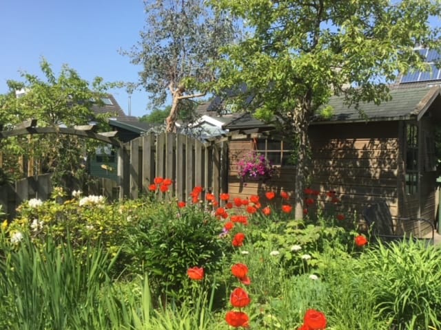 Foto 36 van Buitenweg 309