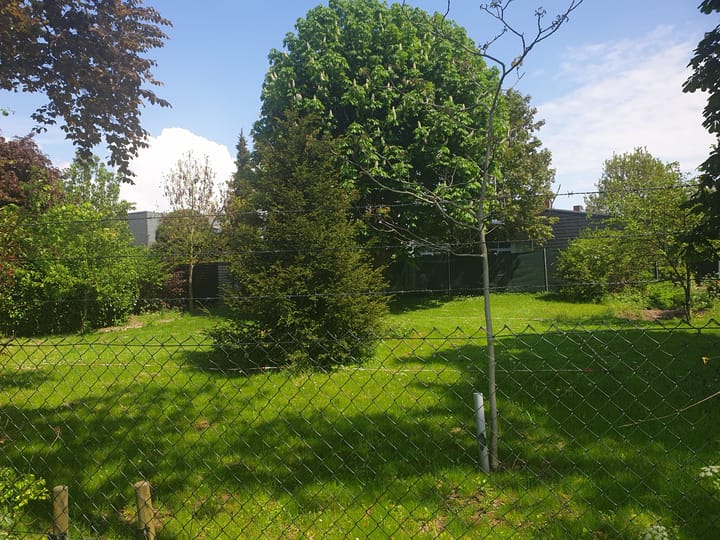 Photo 13 of Griftdijk 174