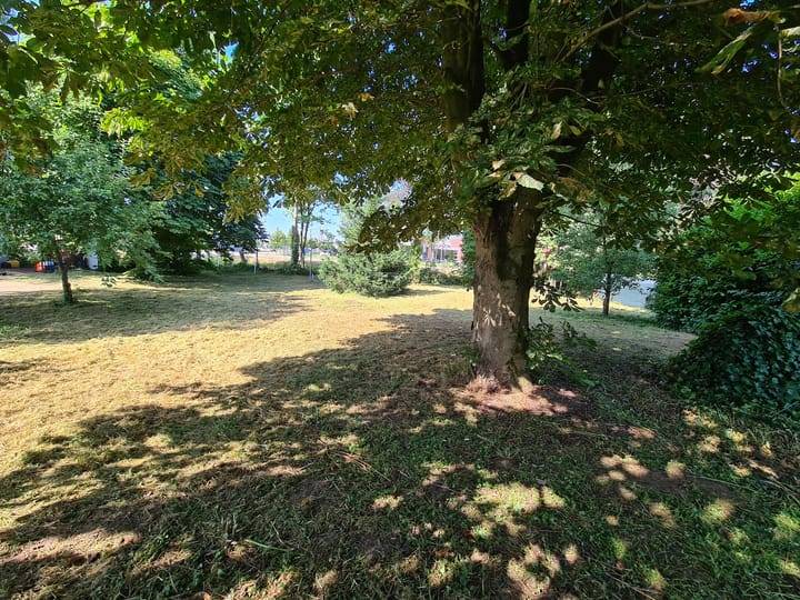 Photo 10 of Griftdijk 174