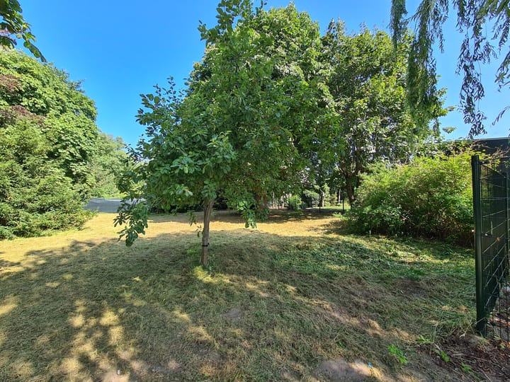 Photo 6 of Griftdijk 174