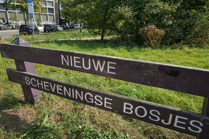 Bekijk foto 30 van Badhuisweg 155