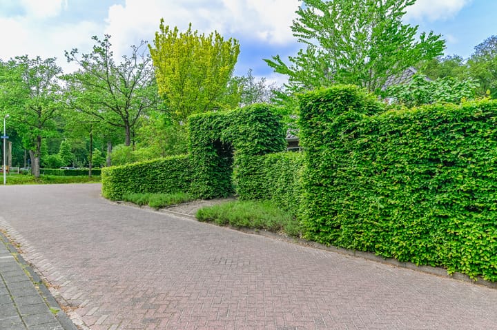 Foto 93 van Weverswâl 31