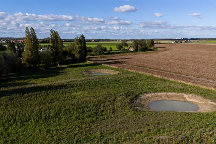 Bekijk foto 3 van Mosseldijk 15-A