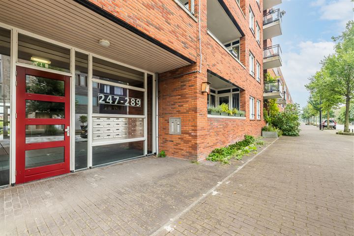 Bekijk foto 4 van Jan Vrijmanstraat 277