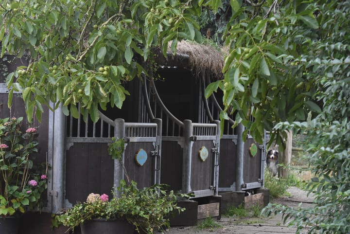 Foto 33 van Zeelandseweg 41